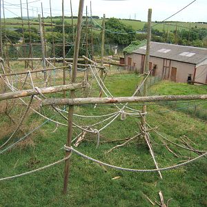 View of Primate House