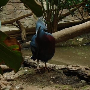 Bird Kingdom Visit - August 16th, 2009