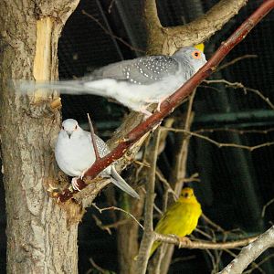 Bird Kingdom Visit - August 16th, 2009