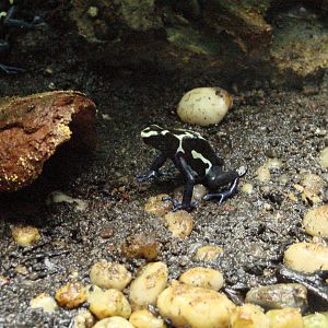 Bird Kingdom Visit - August 16th, 2009