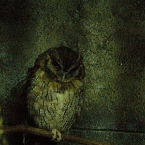 Bird Kingdom Visit - August 16th, 2009