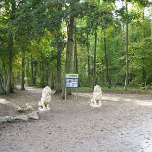 Le Parc Des Felins