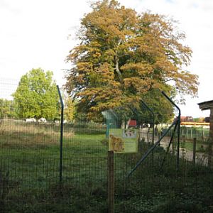 Le Parc Des Felins