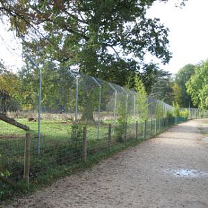 Le Parc Des Felins