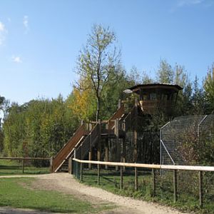 Le Parc Des Felins