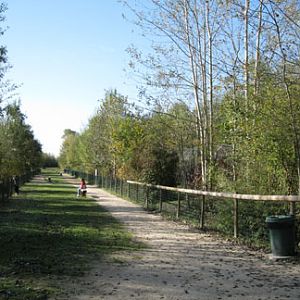 Le Parc Des Felins