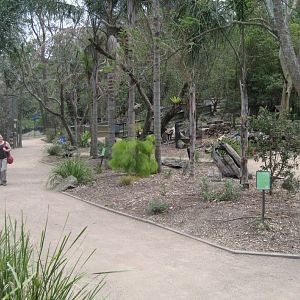 Garden just inside entrance