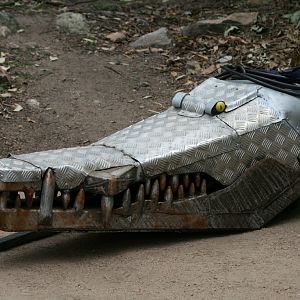 Robo-Croc