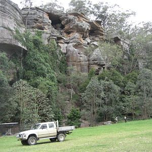 Cassowary enclosure at base of Rockface