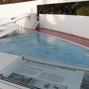 Information about Lubetkin's Penguin Pool