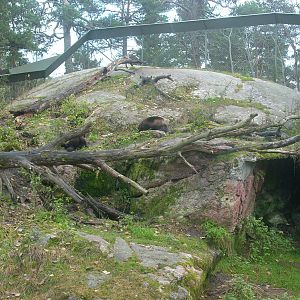 autumn at kolmården zoo