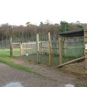 Red Deer enclosure at Yorkshire WP 31/10/09