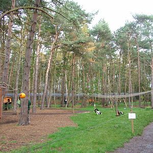 Lemur walkthrough at Yorkshire WP 31/10/09