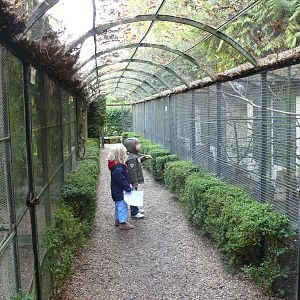 Old-school aviaries