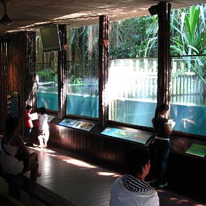 Sungei Buaya ("Crocodile River" in Malay)