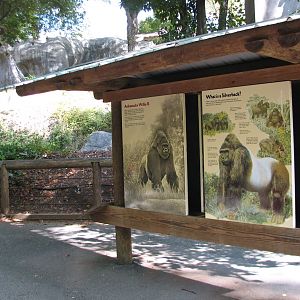African Rain Forest - Gorilla Sign