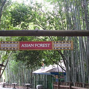 Asian Forest - Entry Sign