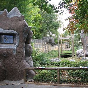 Asian Forest - Orangutan Viewing Area