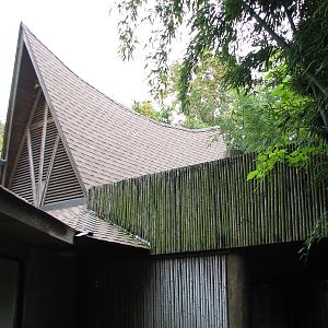 Asian Forest - Komodo Dragon Exhibit Building