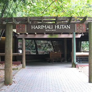 Asian Forest - Tiger Viewing Area