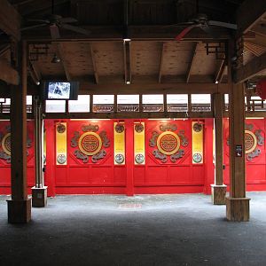 Asian Forest - Giant Pandas of Chengdu Pavilion