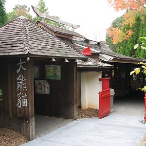 Asian Forest - Giant Pandas of Chengdu Pavilion