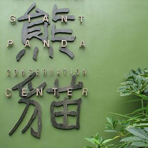 Asian Forest - Giant Pandas of Chengdu Sign