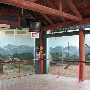 Asian Forest - Giant Pandas of Chengdu Bedrooms