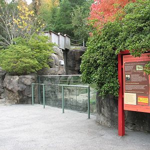 Asian Forest - Giant Pandas of Chengdu Viewing Area