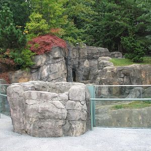 Asian Forest - Giant Panda Exhibit 2