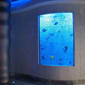 Beyond The Reef Gift Shop