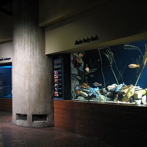 Cold Water Quest - Alaska Rocky Reef Exhibit