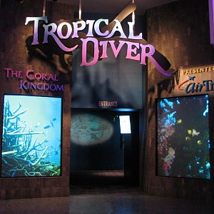 Tropical Diver - Entry