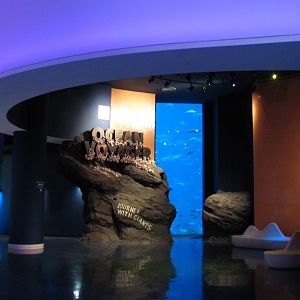 Ocean Voyager - Entry