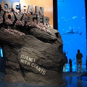 Ocean Voyager - Entry