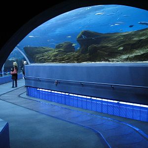 Ocean Voyager - Tunnel