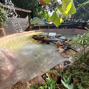 Terrapin - enclosure