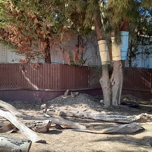 Prairie Dog - enclosure