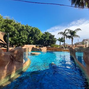 Sea Lion - enclosure