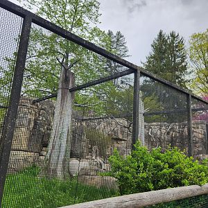 JA McFaul Environmental Center - (Former) Red Fox enclosure