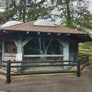 JA McFaul Environmental Center - Red-tailed Hawk enclosure