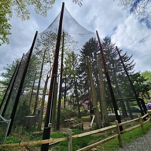 JA McFaul Environmental Center - Huge Turkey Vulture aviary