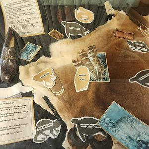 JA McFaul Environmental Center - Animal exploitation exhibit