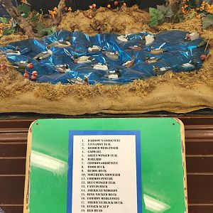 JA McFaul Environmental Center - Duck carvings w/ species list