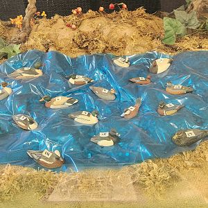 JA McFaul Environmental Center - Duck carvings