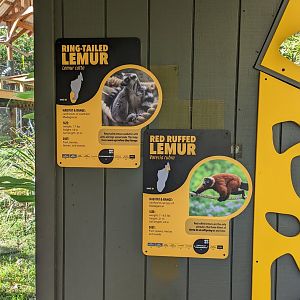 New Lemur Signage