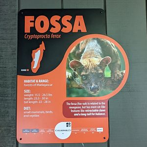 New Fossa signage