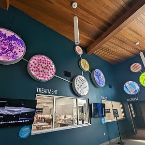 New decor in the Vet Hospital