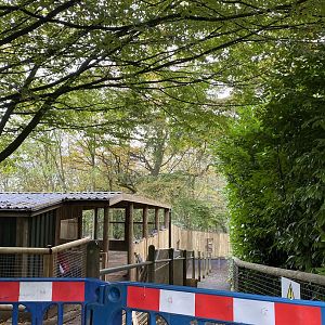 Dudley new bush dog enclosure, WIP, top, house