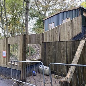 Dudley new bush dog enclosure, WIP, house